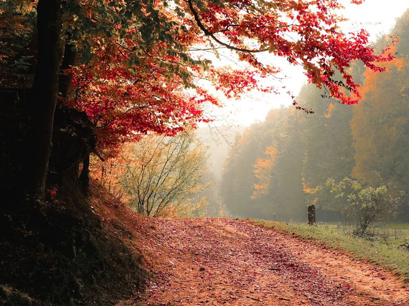 Хоёрдугаар 10 хоногийн дунд үед ихэнх нутгаар хүйтэрч, хур тунадас орох төлөвтэй байна